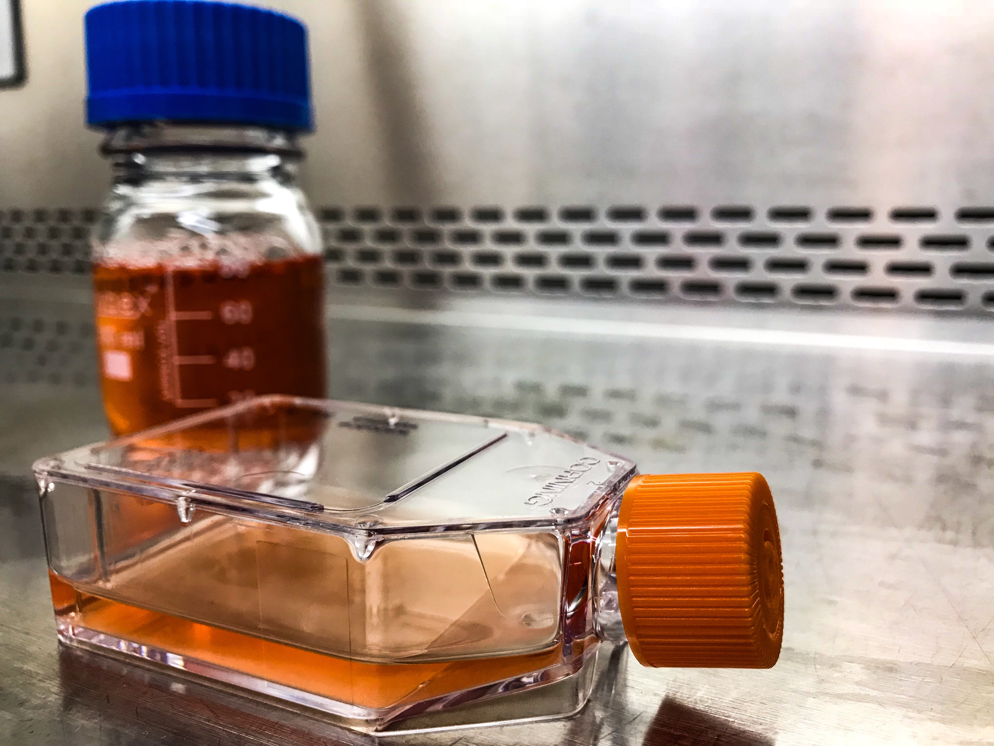 In vitro virus culture U.S. Geological Survey